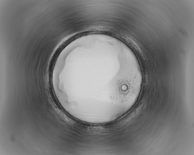 X0000111200784200907291229