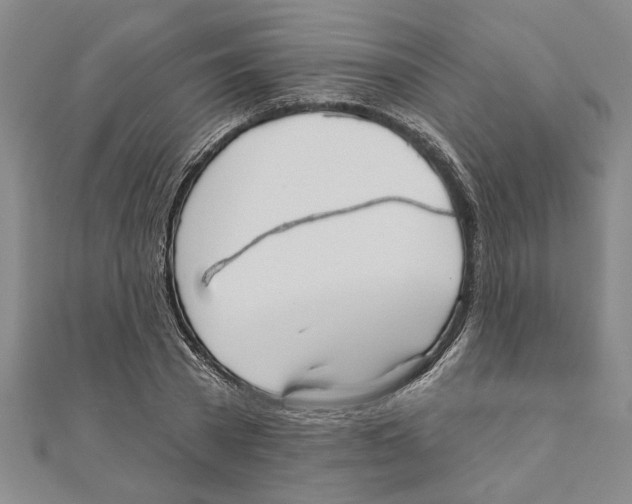 X0000111200785200907291229