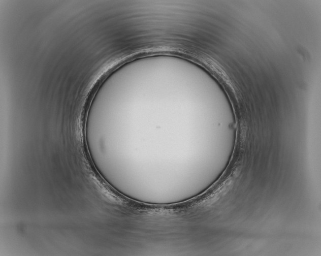 X0000111200789200907291229