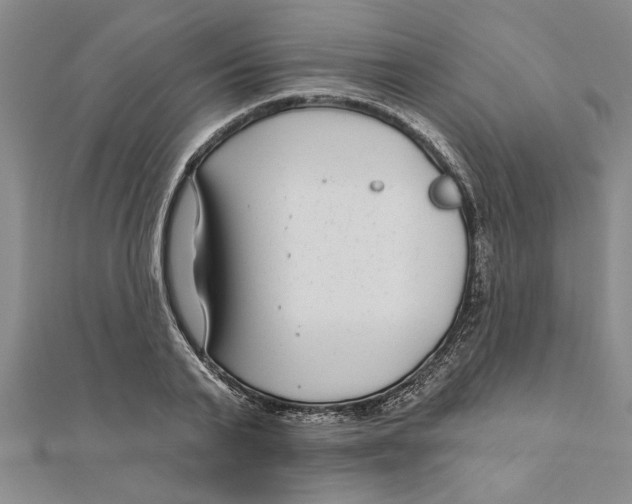 X0000111200791200907291229