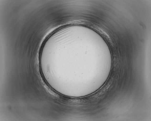 X0000111200792200907291229