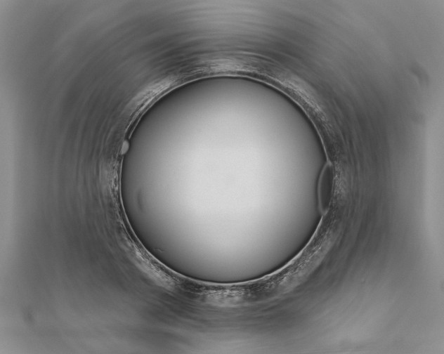 X0000111200793200907291229