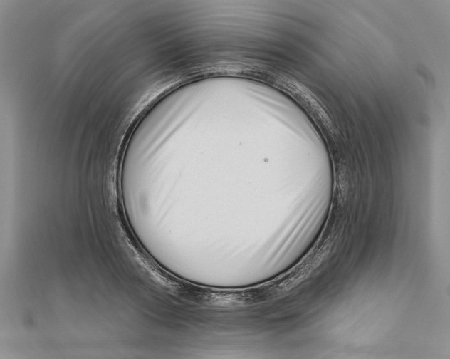 X0000111200794200907291229