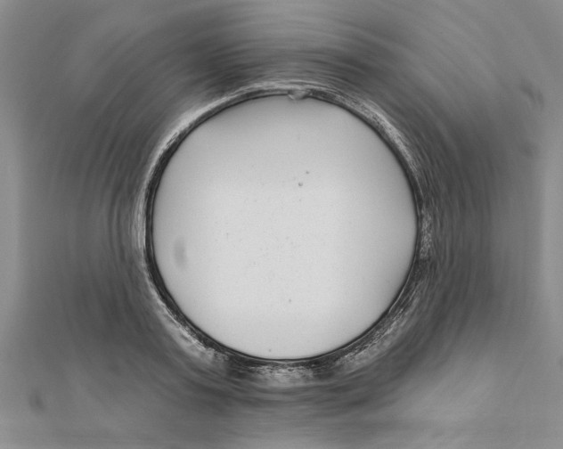 X0000111200795200907291229