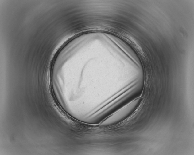 X0000111200796200907291229