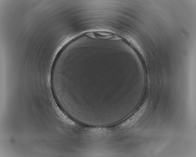 X0000111200797200907291229