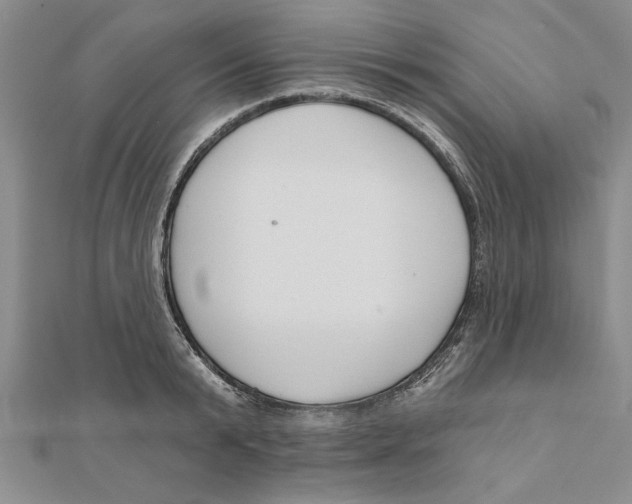 X0000111200799200907291229