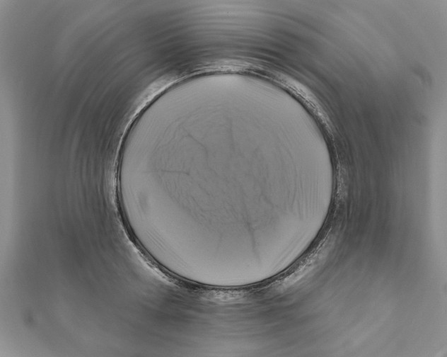 X0000111200802200907291229