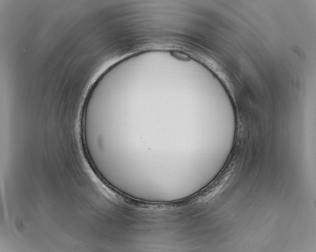 X0000111200803200907291229