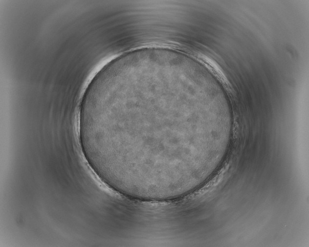 X0000111200804200907291229