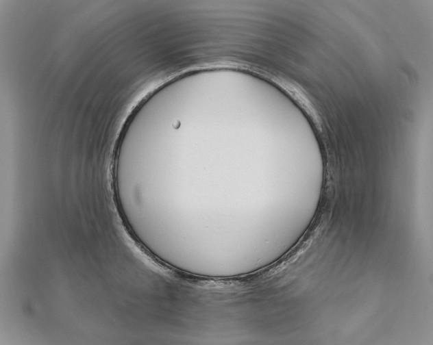 X0000111200805200907291229