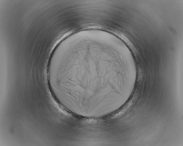 X0000111200806200907291229