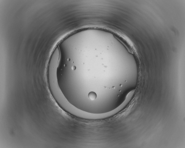 X0000111200807200907291229