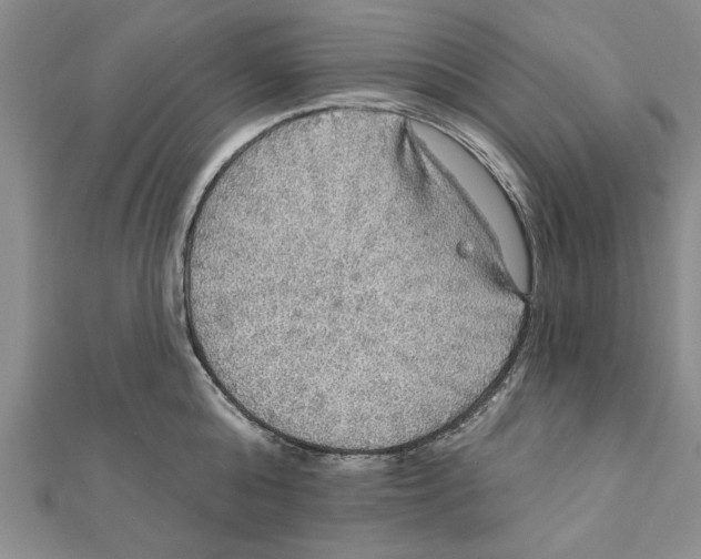 X0000111200808200907291229