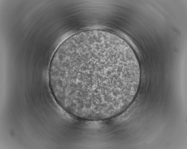 X0000111200810200907291229