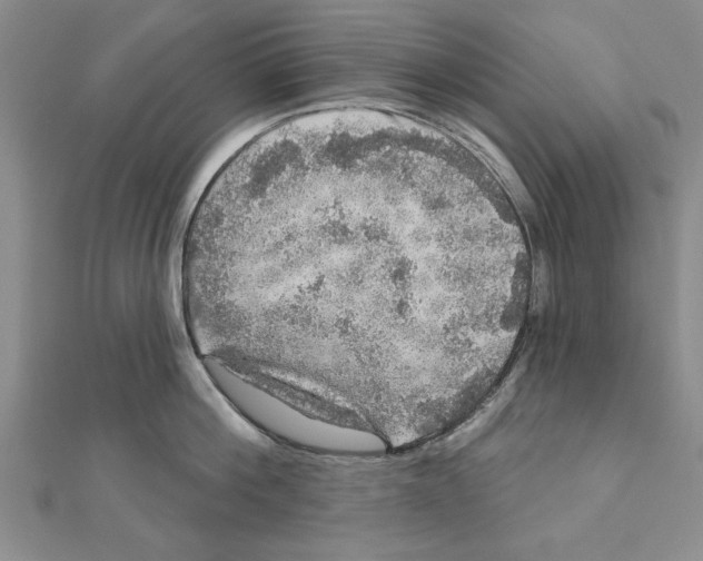 X0000111200812200907291229