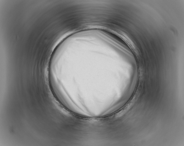 X0000111200814200907291228