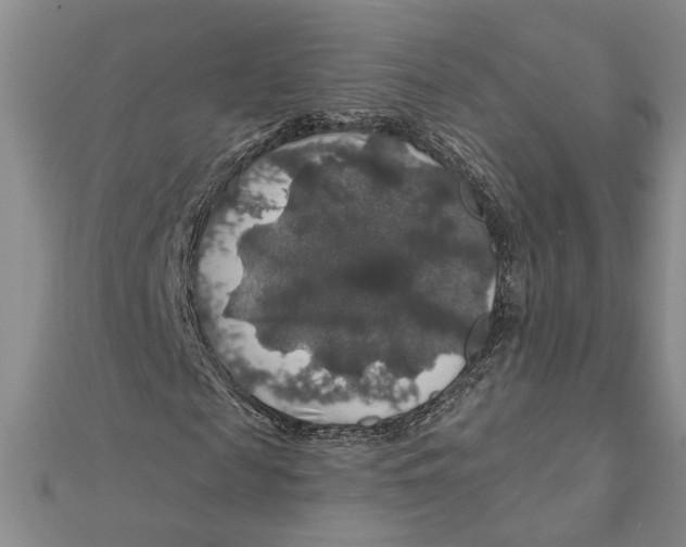 X0000111200817200907291228