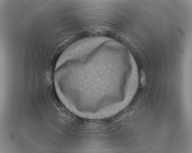 X0000111200819200907291228