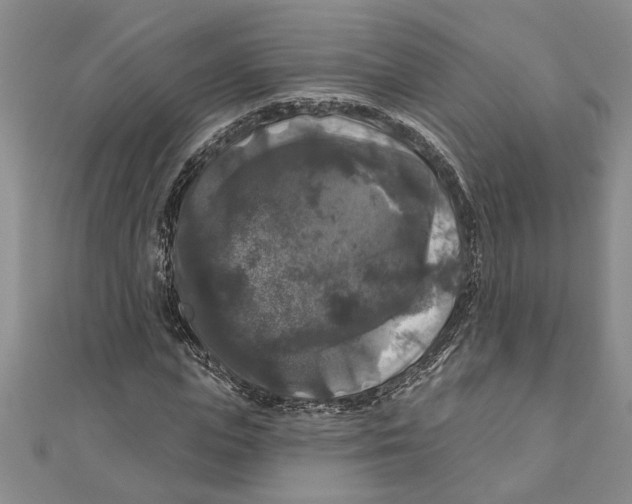 X0000111200823200907291228