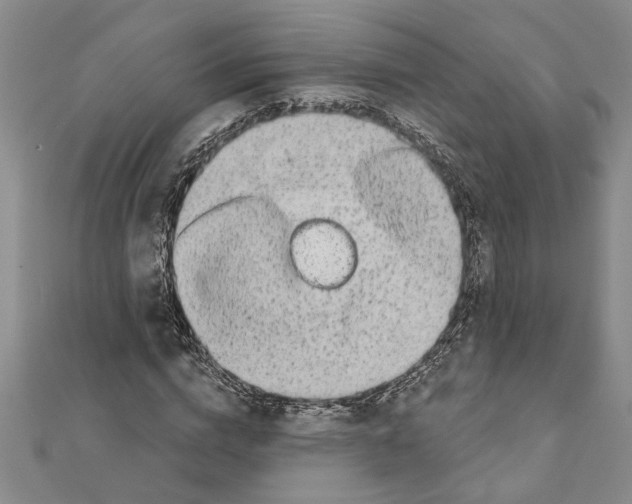 X0000111200824200907291228