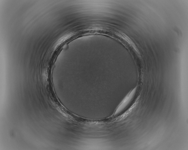 X0000111200826200907291228