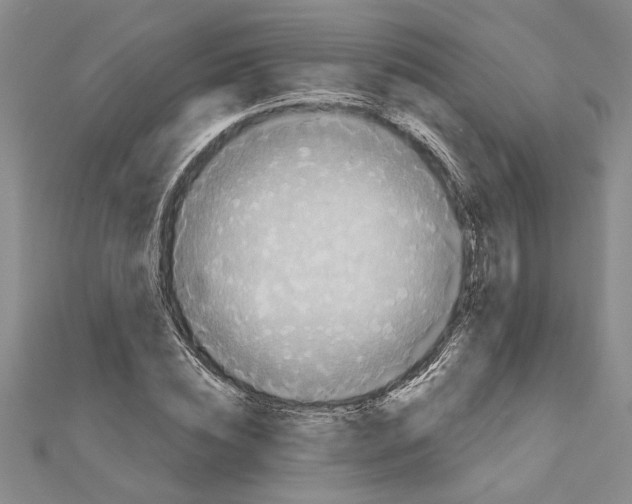 X0000111200828200907291228