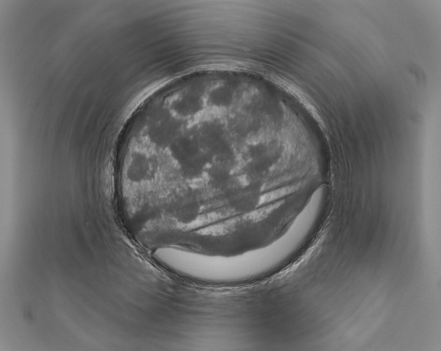 X0000111200829200907291228