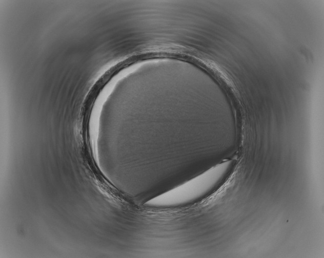 X0000111200830200907291228