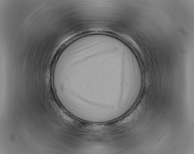 X0000111200831200907291228