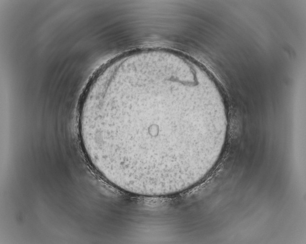 X0000111200832200907291228