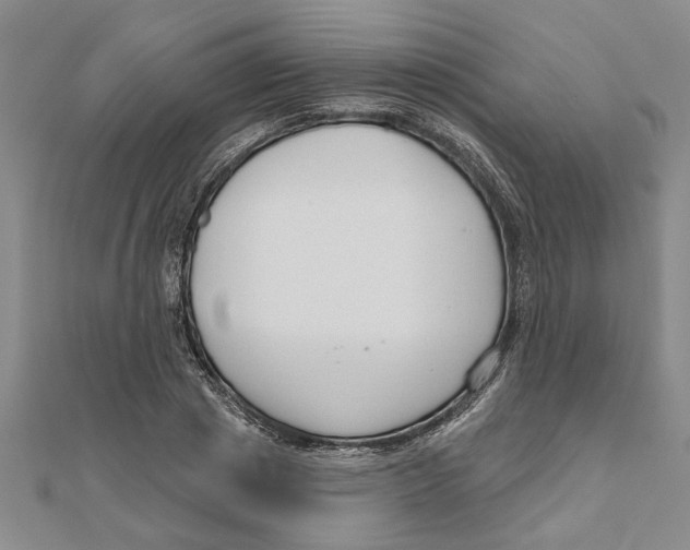 X0000111200833200907291228