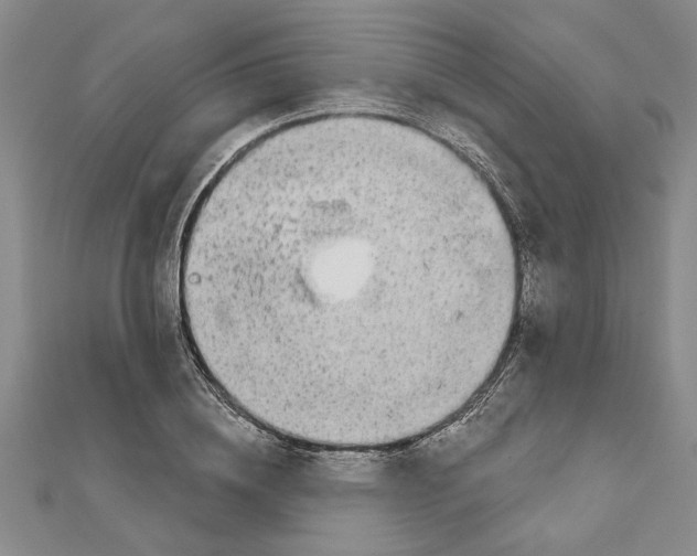 X0000111200836200907291228