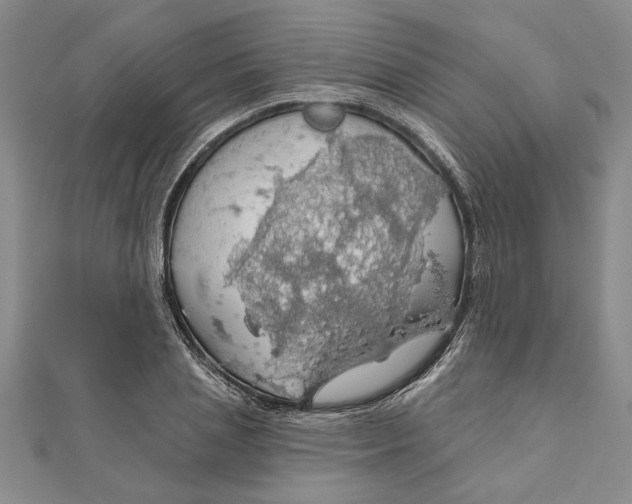 X0000111200837200907291228