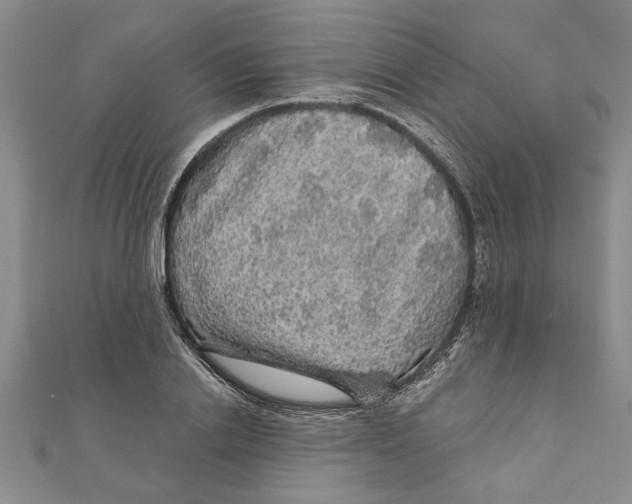 X0000111200838200907291228