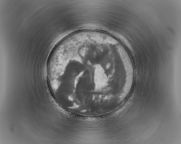 X0000111200839200907291228