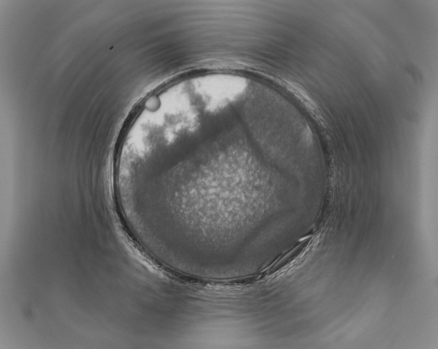 X0000111200840200907291228