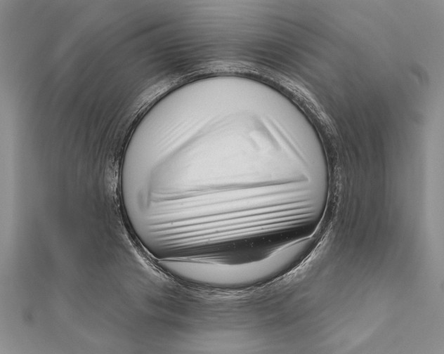 X0000111200841200907291228