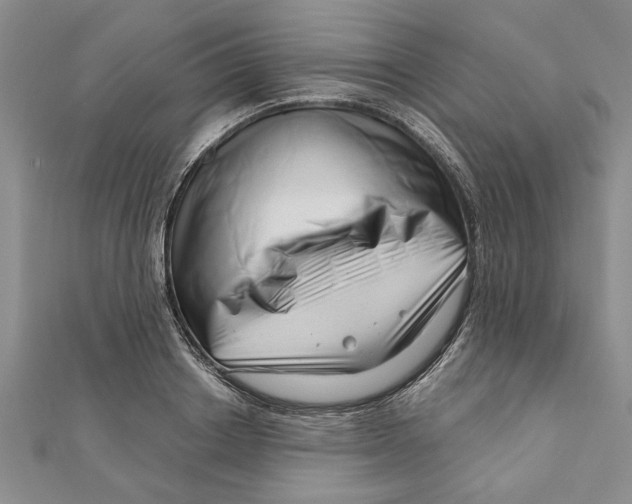 X0000111200842200907291228