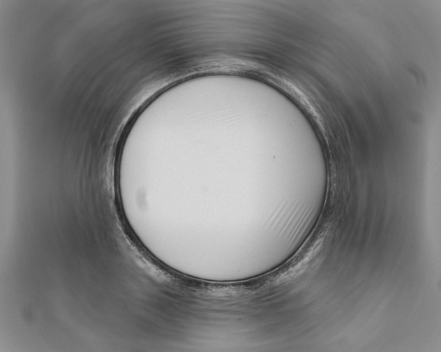 X0000111200843200907291228