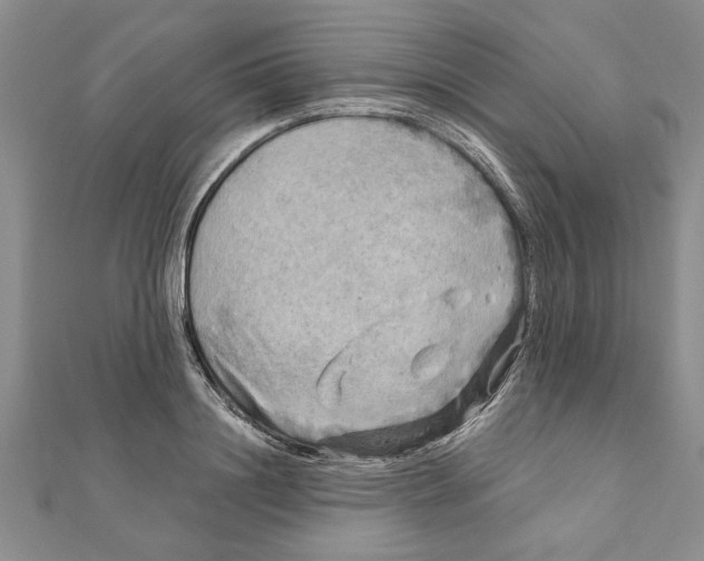 X0000111200844200907291228