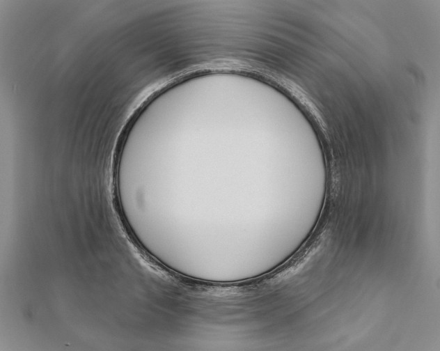 X0000111200845200907291228