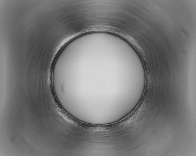 X0000111200846200907291228