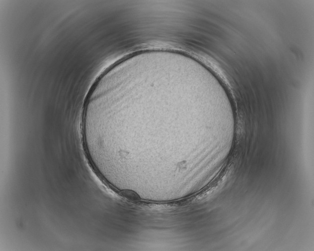 X0000111200847200907291228