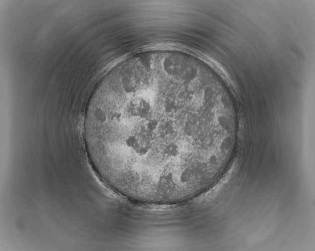 X0000111200849200907291228