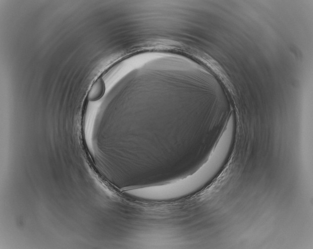 X0000111200850200907291228