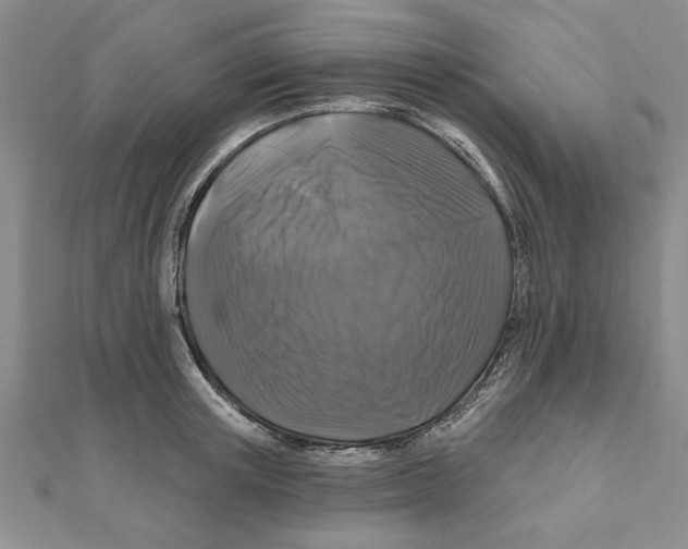 X0000111200851200907291228