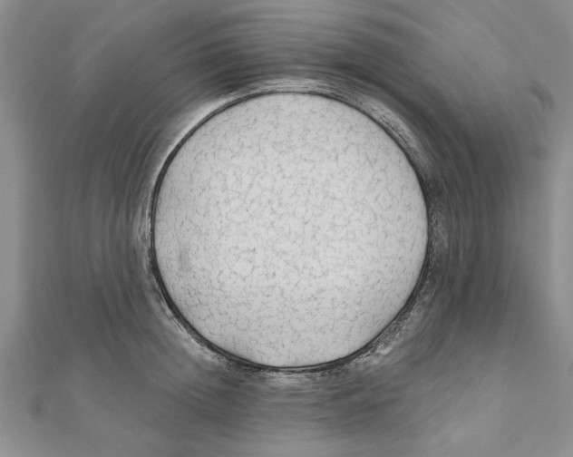 X0000111200852200907291228