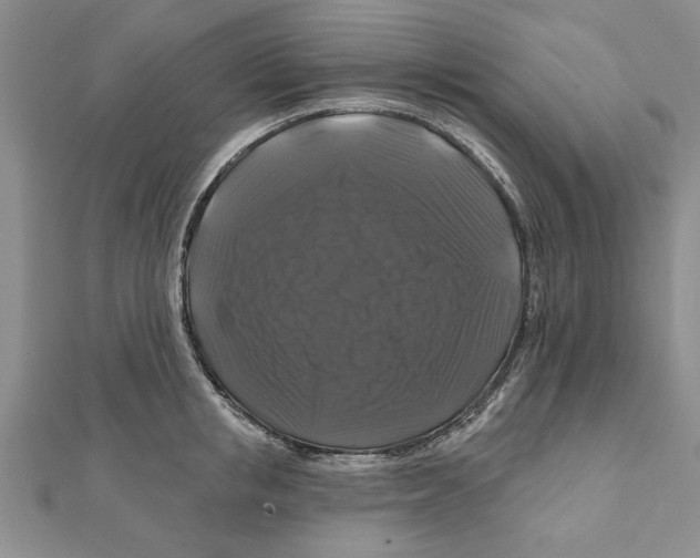 X0000111200853200907291228