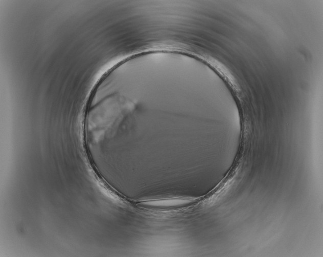 X0000111200854200907291228